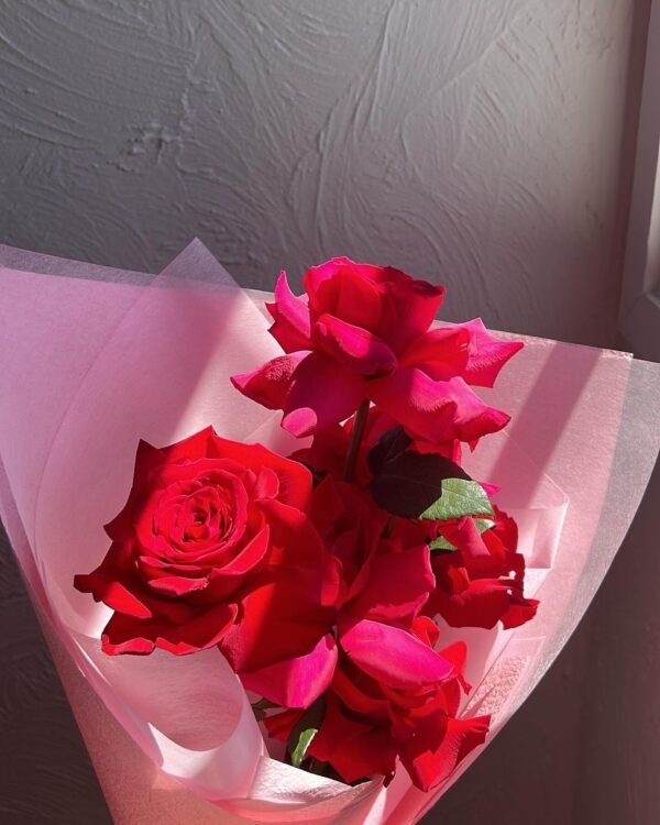 Premium Ecuadorian Roses (no greenery) - Image 5