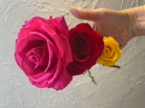 Premium Ecuadorian Roses (no greenery) - Image 4