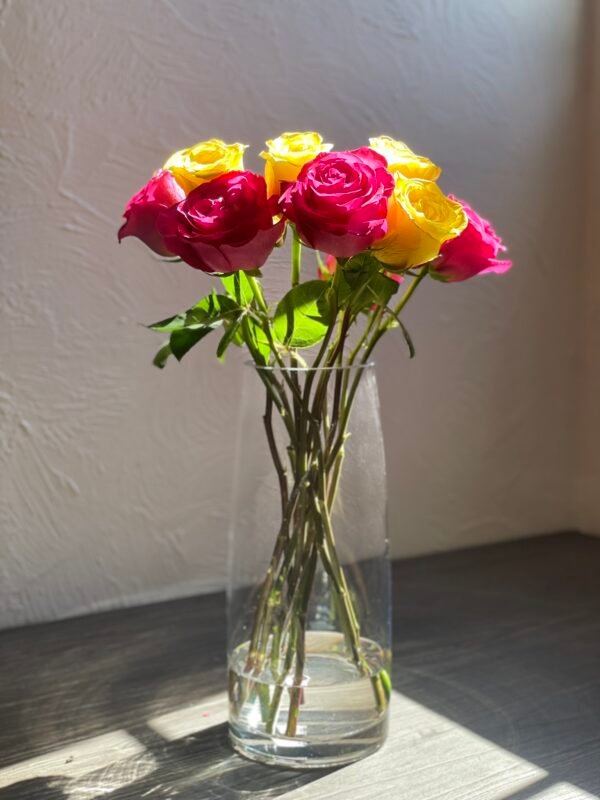 Premium Ecuadorian Roses (no greenery) - Image 3