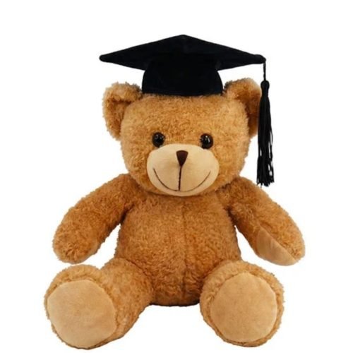 Graduation Teddy Bear – Bobb